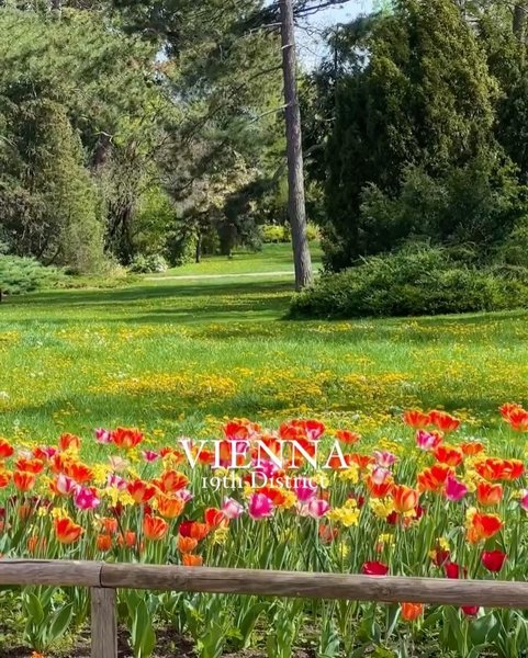 Thumbnail of p-c7fiejfntot-05e0d7f09e94422f 4