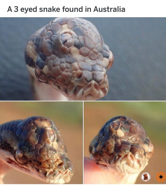 Thumbnail of p-bw9hnrphtmk-05e9803e27b74b46 0