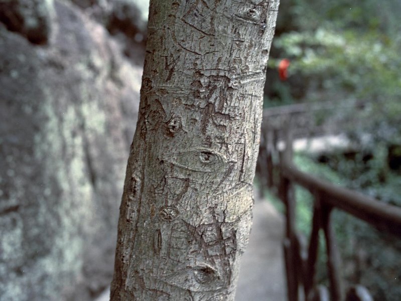 Thumbnail of p-dbp5qqevrdk-05f63c762eb64435 0