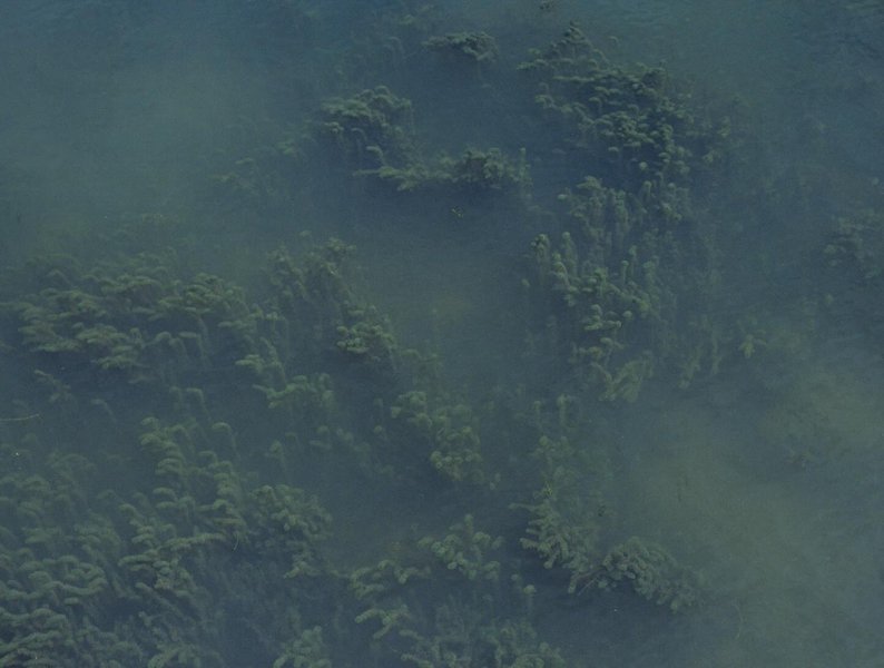 Thumbnail of p-dbp5qqevrdk-05f63c762eb64435 1