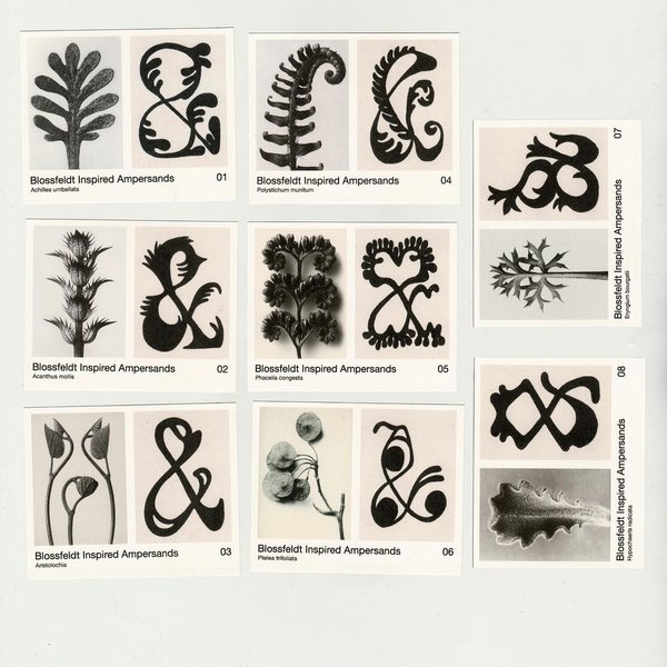 Thumbnail of p-cpiypynhaot-06507fae2ebb4d06 1