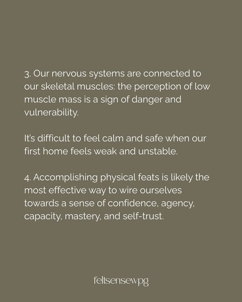 Thumbnail of p-djoaukip08h-0677355f03e84be0 3