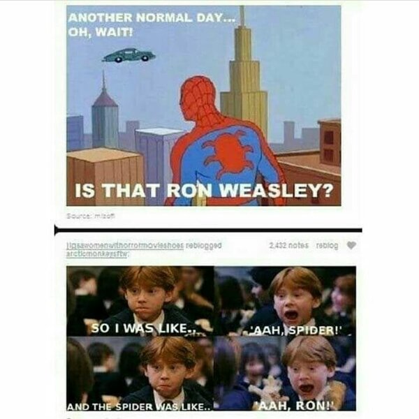 Thumbnail of btneapmg-r2-0688d18a359e41e4 5