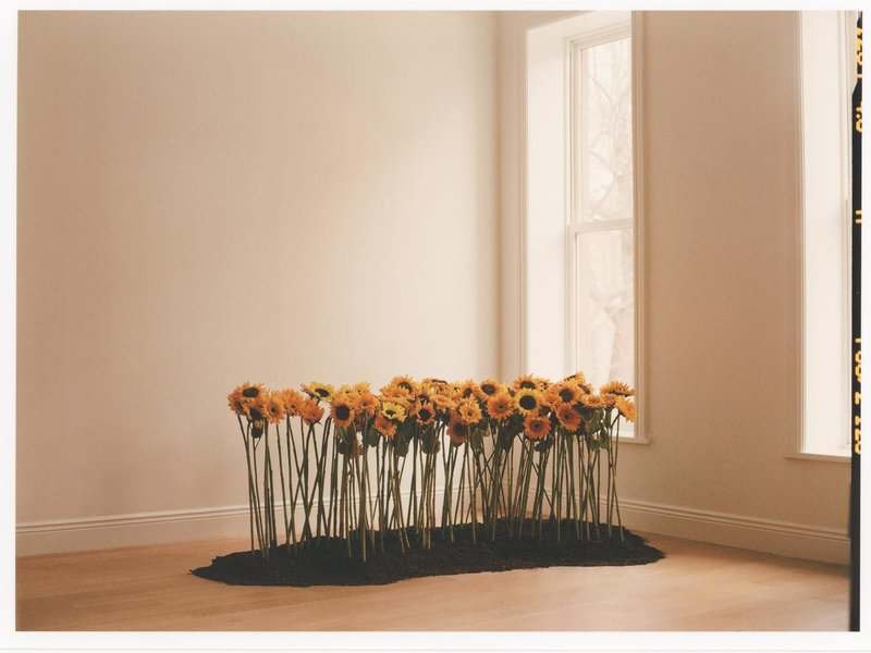 Thumbnail of p-cnsvmqfnrbl-06bda88281674786 0