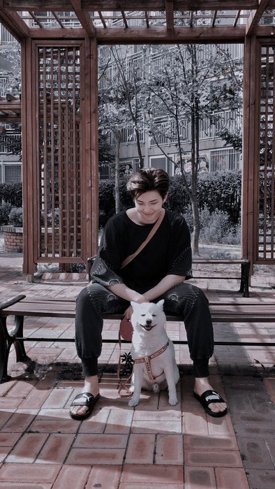 Thumbnail of www-x-com-toriiswriting-status-1821642915401375814-06c0b39c307a4aa2