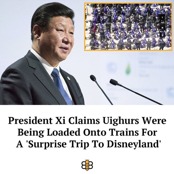 Thumbnail of p-cc7glwoged6-06e09b8e88174f5e 0