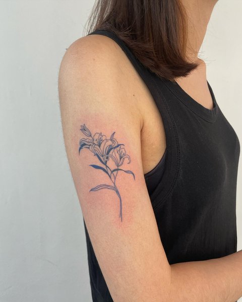 Thumbnail of p-ckp806xr8hu-06e2dba92cf04247 1