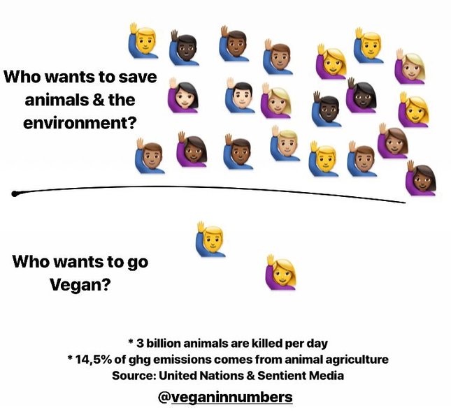 Thumbnail of p-bxdcgs0agfk-06e846eb155b42a9 0