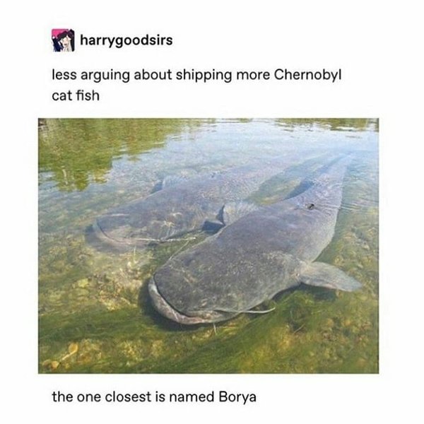 Thumbnail of p-b7xyywhjgok-073ba1259c604042 0