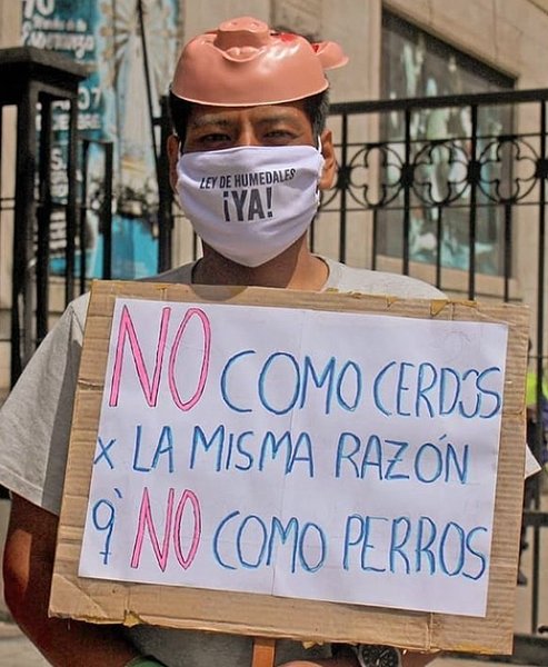 Thumbnail of p-chnkcmwjeb5-075e6ee818c34bf3 0