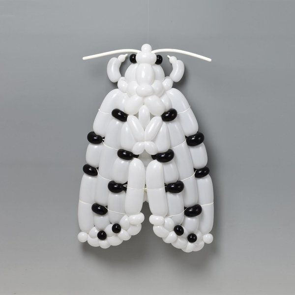 Thumbnail of p-cq811ywnkzb-0760443d566f4776 0