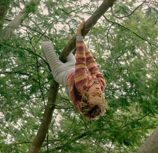 Thumbnail of p-ct0ebekfiiw-079b6ee51ad5425a 2