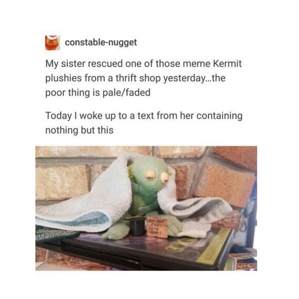 Thumbnail of p-b6l9cjwfqo1-07b18528a9fb4180 0