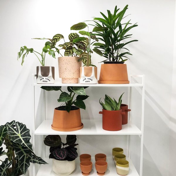 Thumbnail of p-cgsuvu0gjkv-07b998de02a54d03 0