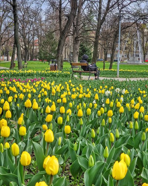 Thumbnail of p-c4sfx0ptu2c-07ea18e3fb384fa8 0