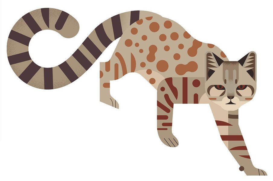 Thumbnail of p-byvu6nil87q-0860ced9a4ba40d1 0