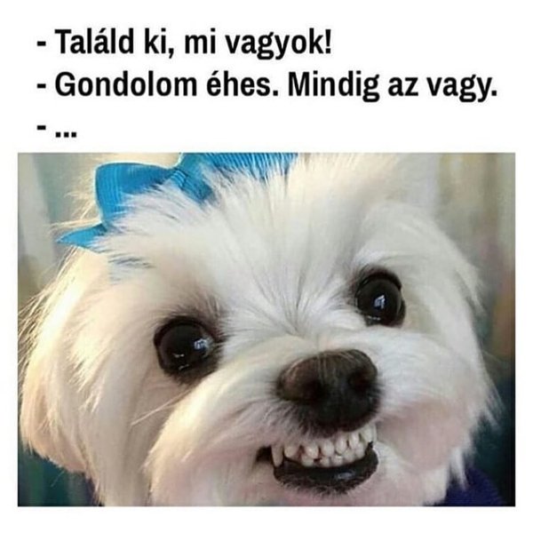 Thumbnail of p-bngiky6fucg-086cdb79270749a3 0