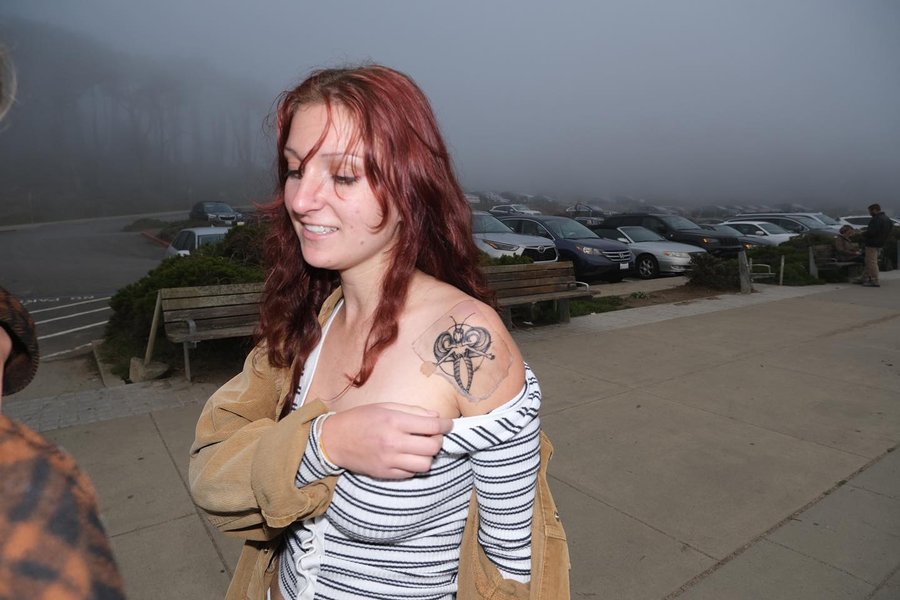 Thumbnail of p-clwywrpsbkj-086e531398534a85 0