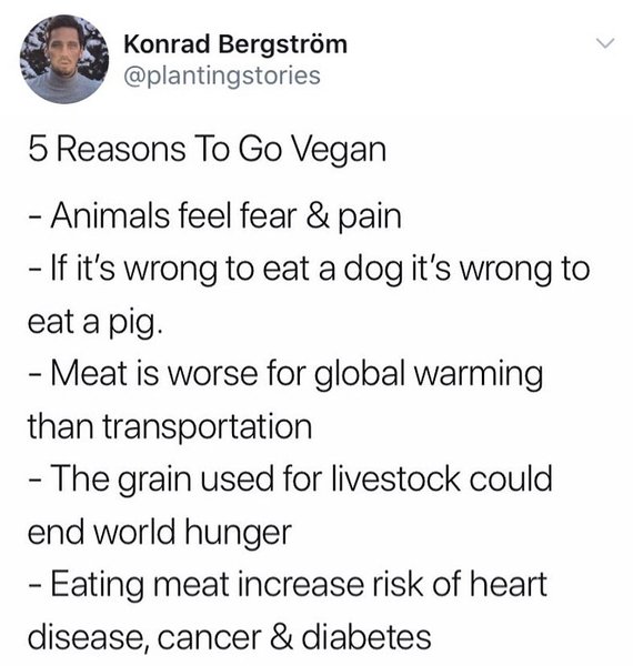 Thumbnail of cffffgiji-a-088add3304a24aaf 0