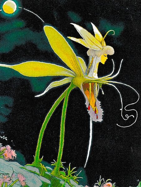 Thumbnail of p-dlmx6hapios-08b2274105204758 0