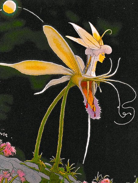 Thumbnail of p-dlmx6hapios-08b2274105204758 1