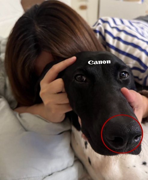 Thumbnail of p-drnu7fmazgi-08b711f662d145ab 0