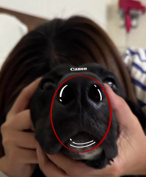 Thumbnail of p-drnu7fmazgi-08b711f662d145ab 1