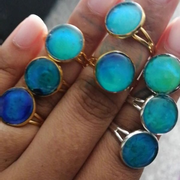 Thumbnail of p-cd5toumlikq-08b7884c1e874c2e 2