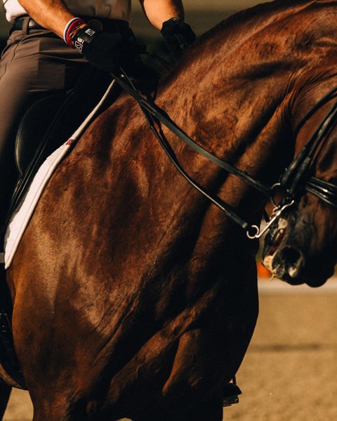 Thumbnail of c-xj50cmdxb-08e5c15524ed492b 5