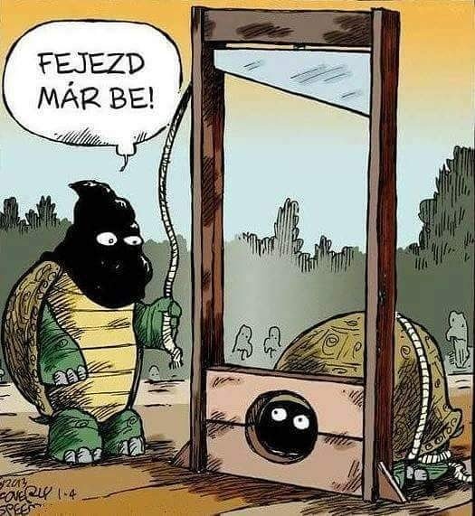 Thumbnail of p-bfx63giakny-091642f59a1f4e0a 0