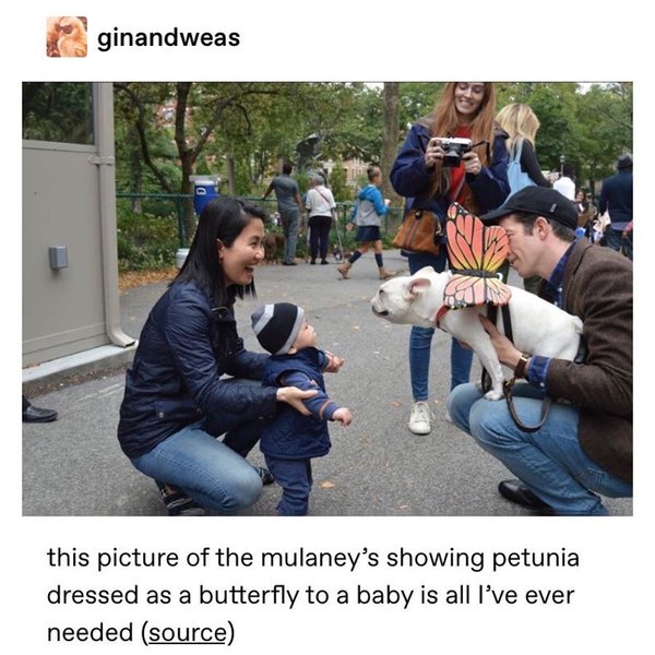 Thumbnail of p-b5ixzswaamw-09b03c9bf6974da7 5