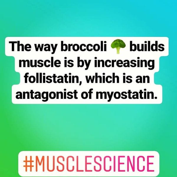 Thumbnail of p-bwhwa2daztv-09b3ea6cbaf849c8 1