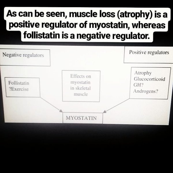 Thumbnail of p-bwhwa2daztv-09b3ea6cbaf849c8 2