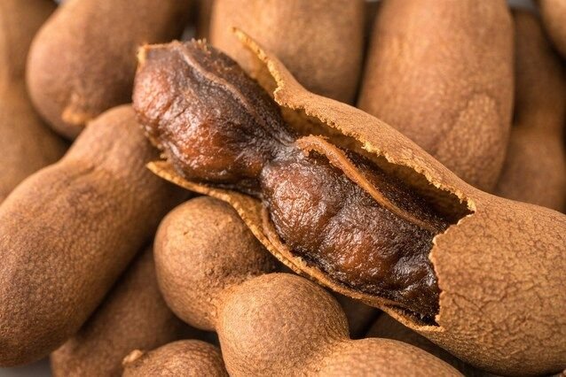 Thumbnail of www-x-com-aestheticprimal-status-1972314747623391729-09e0637a1e684451