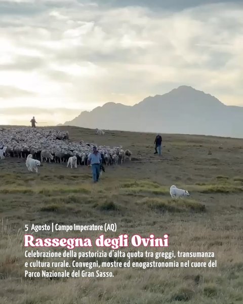 Thumbnail of skwi-m-0a152009a6274aa4 3