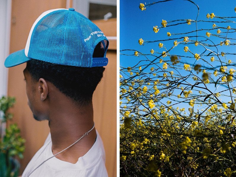 Thumbnail of p-conemc8fqy-0a349c69a3254f36 0