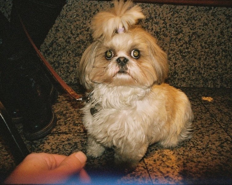 Thumbnail of deslq6fn9-2-0a358ddf2b534ef7 0