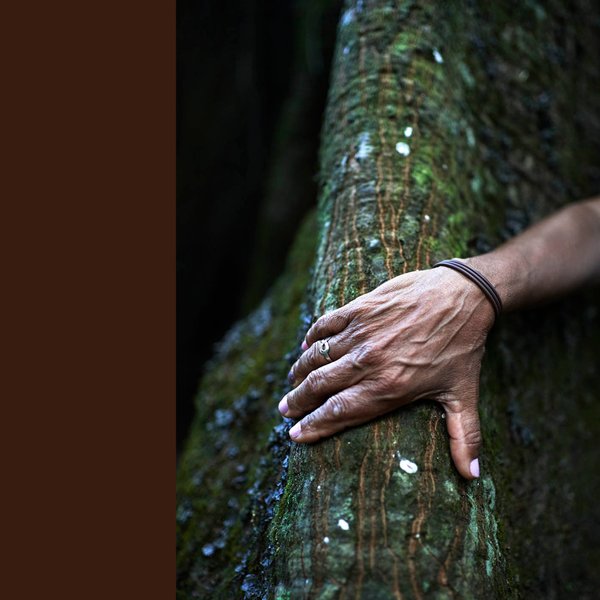 Thumbnail of p-c1m90znso5c-0a3a224c8a854d42 6