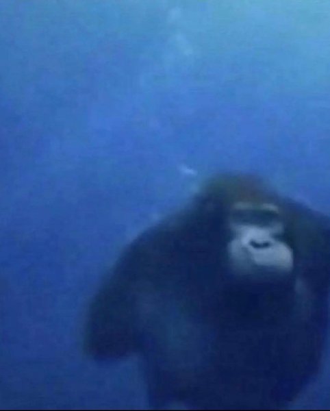 Thumbnail of ch-biytplwr-0a3cc03cc1f14d76 7