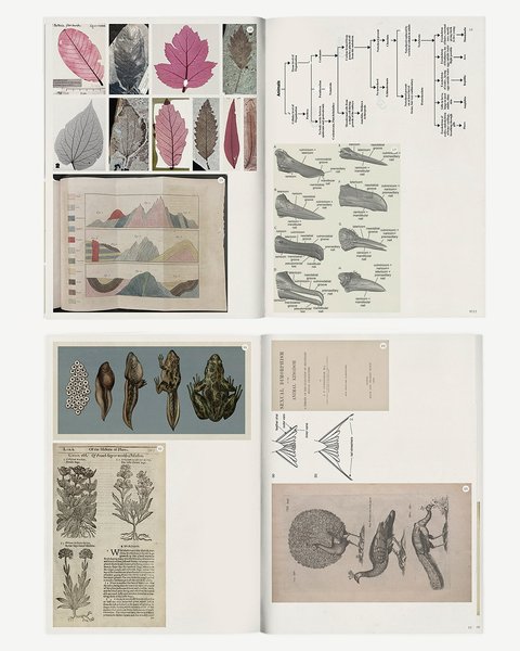 Thumbnail of p-dfiueq6kgyx-0a48a2cafa5d4613 2
