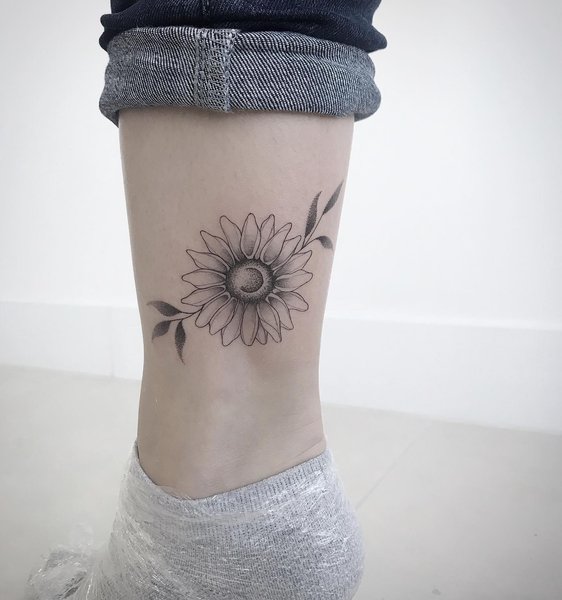 Thumbnail of p-b2xgo1tgqbg-0a78f89e46d04441 0