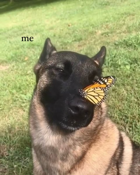 Thumbnail of c-03qihv2p7-0ae3039d27344d9d 7