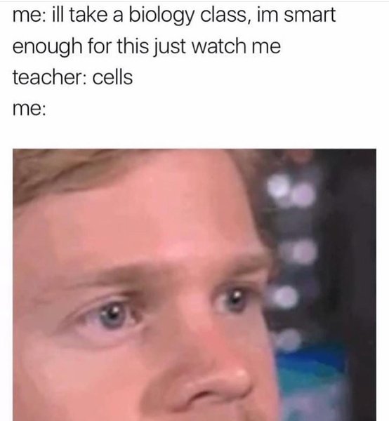 Thumbnail of b-yt7gyn6nr-0b37e8cbc6e04ac5 1