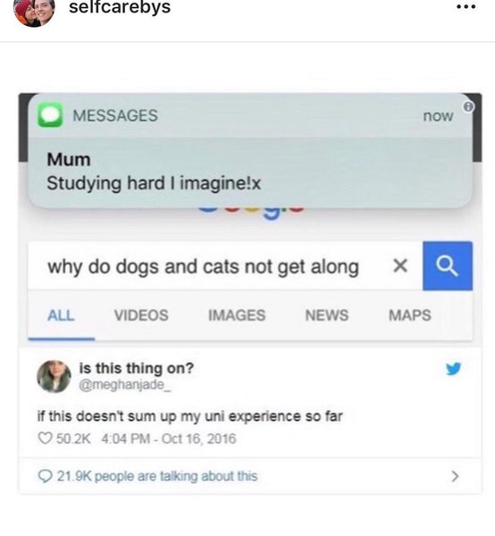 Thumbnail of b-yt7gyn6nr-0b37e8cbc6e04ac5 9