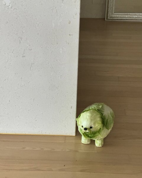 Thumbnail of c9ka-wvp9cl-0b442e33fd5347e4 6