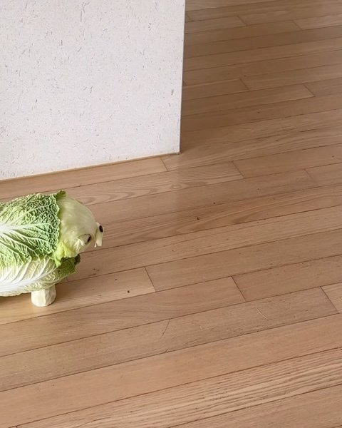 Thumbnail of c9ka-wvp9cl-0b442e33fd5347e4 7