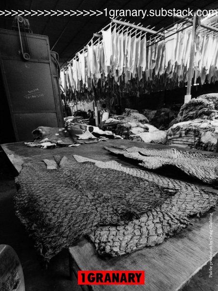 Thumbnail of www-instagram-com-p-dql7pqmdeua-img-index-4 4