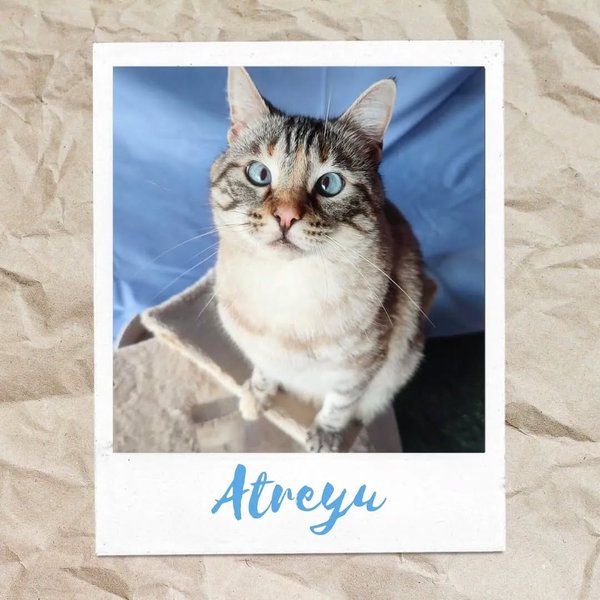 Thumbnail of p-comrqdomokl-0b8547962da04c32 0