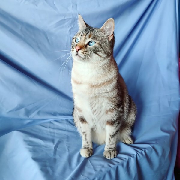 Thumbnail of p-comrqdomokl-0b8547962da04c32 1