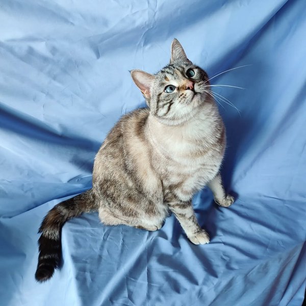 Thumbnail of p-comrqdomokl-0b8547962da04c32 3